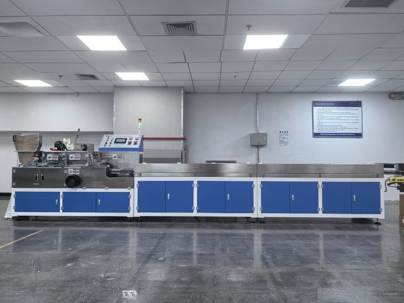 天津波音公司棉签机完成交付